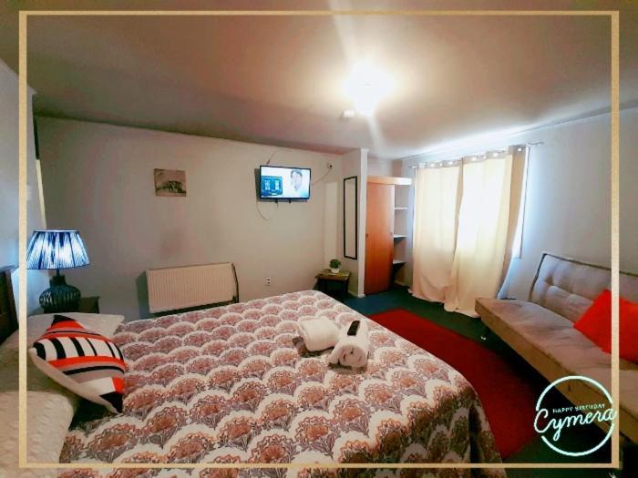 Patagonia Magica Apartman Punta Arenas Kültér fotó
